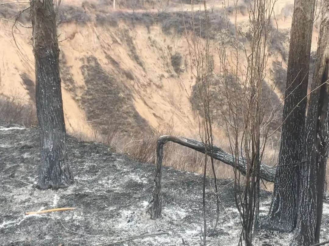 警惕！小火苗酿成大祸患！稷山公安查处一起过失引起火灾案_泛亚电竞官网