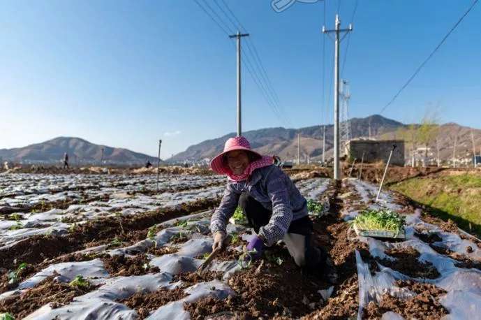 【雷火电竞在线登录官网】4月起，这些新规将影响你我生活(图7)