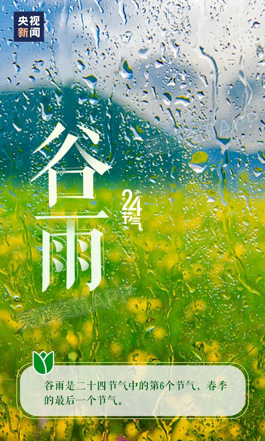 【米6体育app官方下载】春归谷雨，夏日将至(图2)