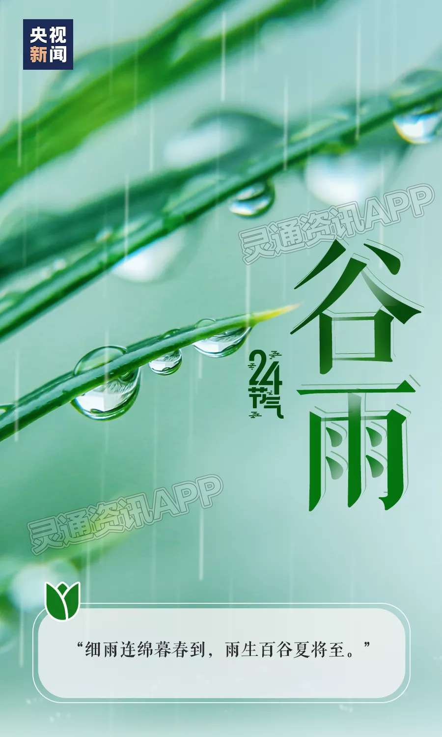春归谷雨，夏日将至-pg电子平台官网(图5)