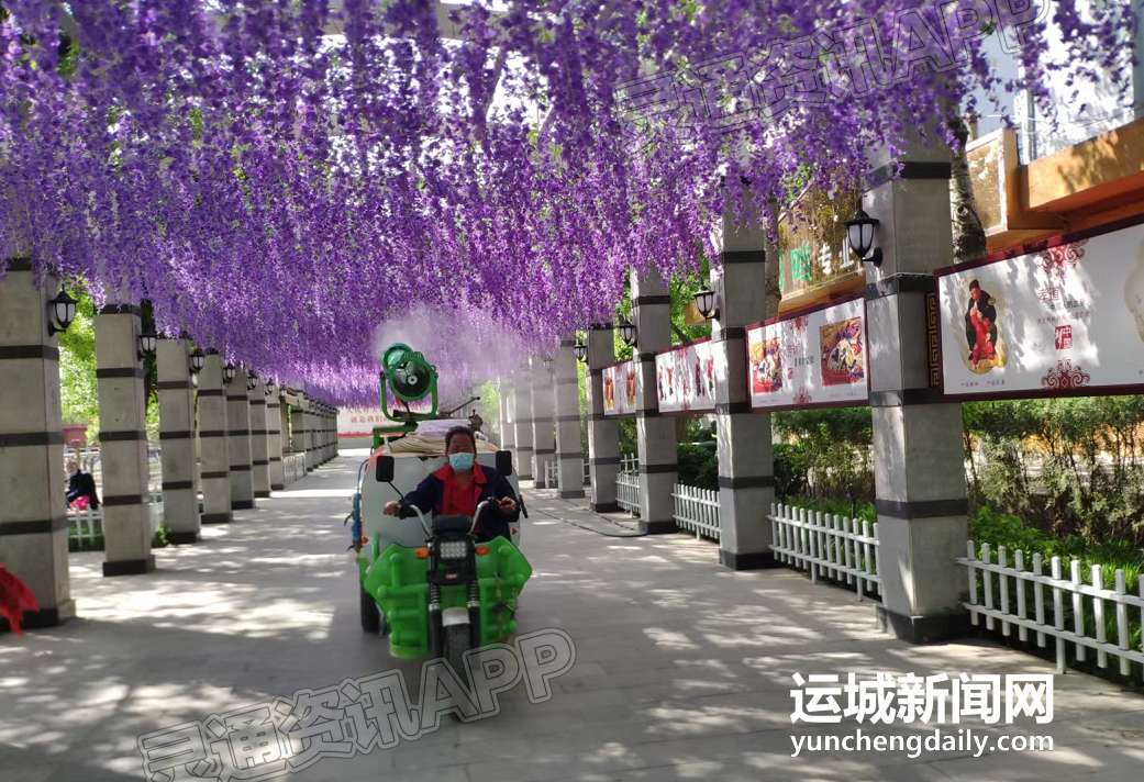 人民公园“紫藤花廊” 等您“五一”来打卡【泛亚电竞官方入口】