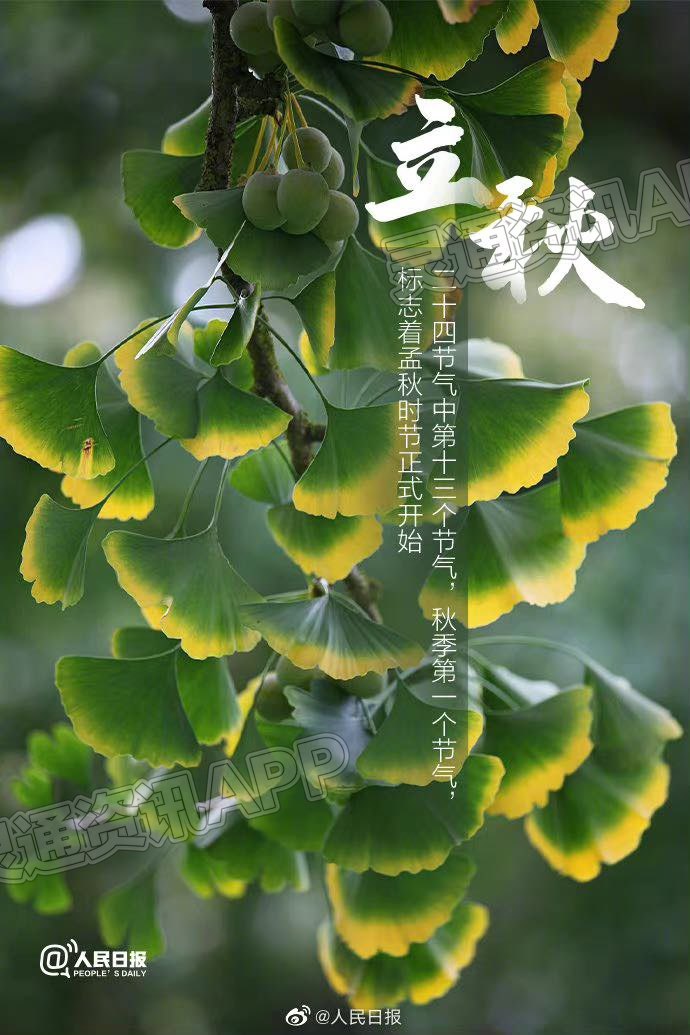 今日20时29分，迎“立秋”节气_雷火电竞在线登录官网(图2)