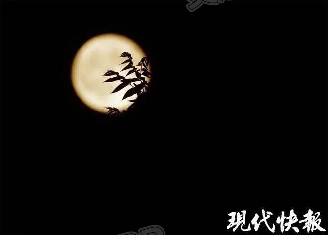 “Kaiyun官方网”流星雨和超级月亮将同时点亮夜空(图1)