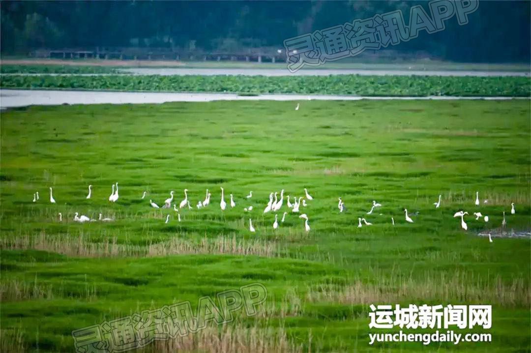 “半岛官方下载地址”世界旅游日！首播优惠来了！运城周边游推荐，看你想去...(图12)