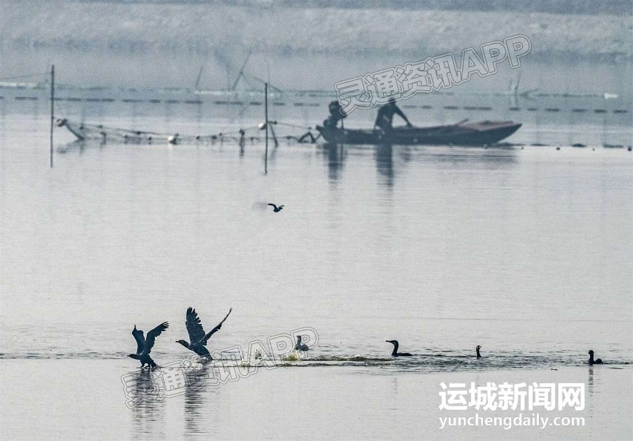 视觉｜冬日 · 诗画 · 鸭子池‘Kaiyun官方网’(图6)