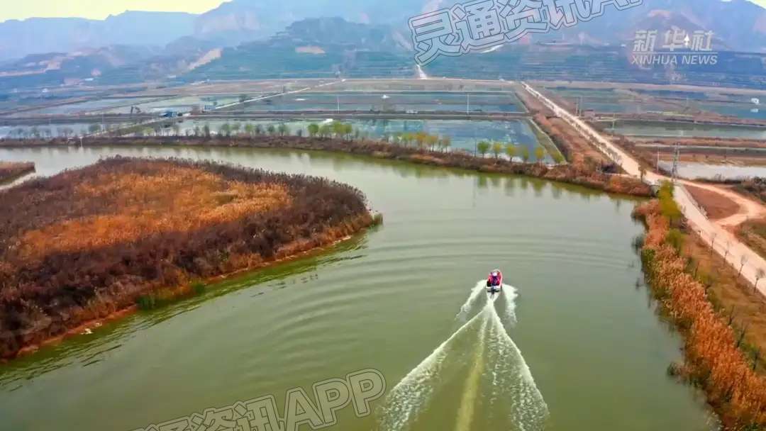 山西临猗：黄河岸边蟹满仓_雷火电竞首页(图2)