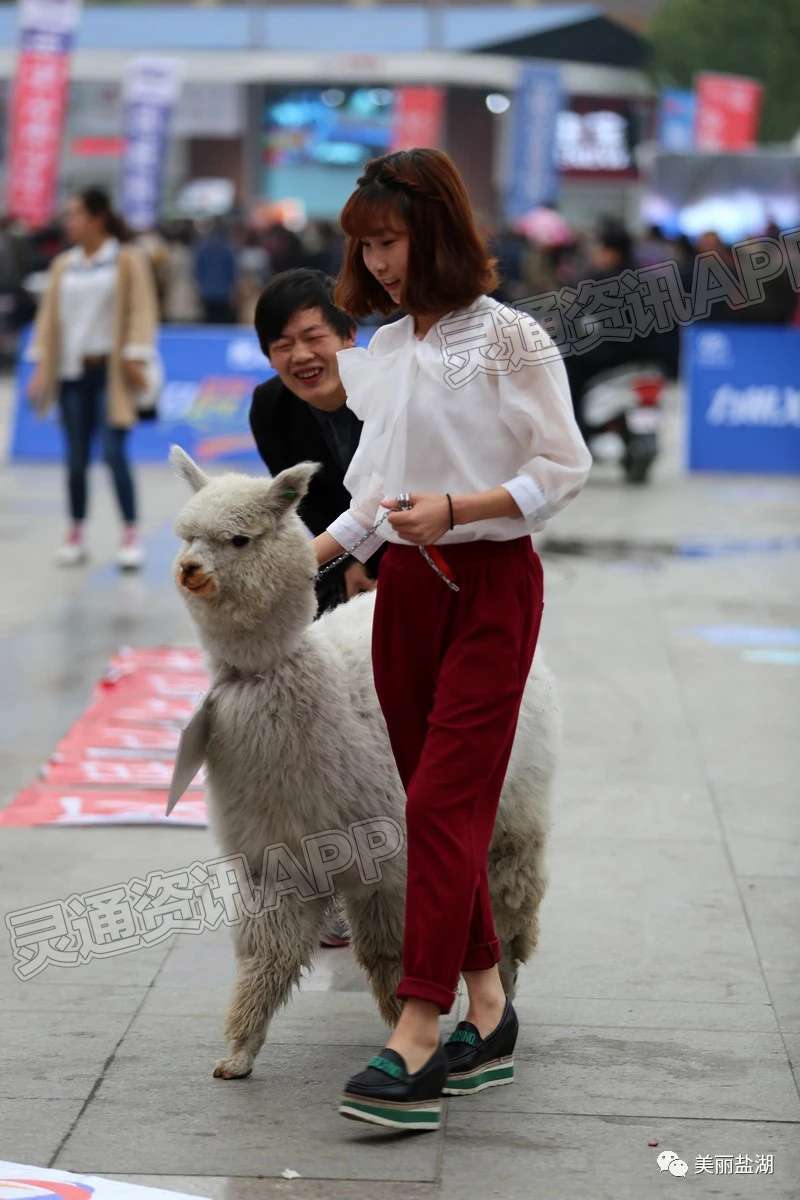 半岛官方下载地址-12张旧照片里的“运城记忆”(图5)