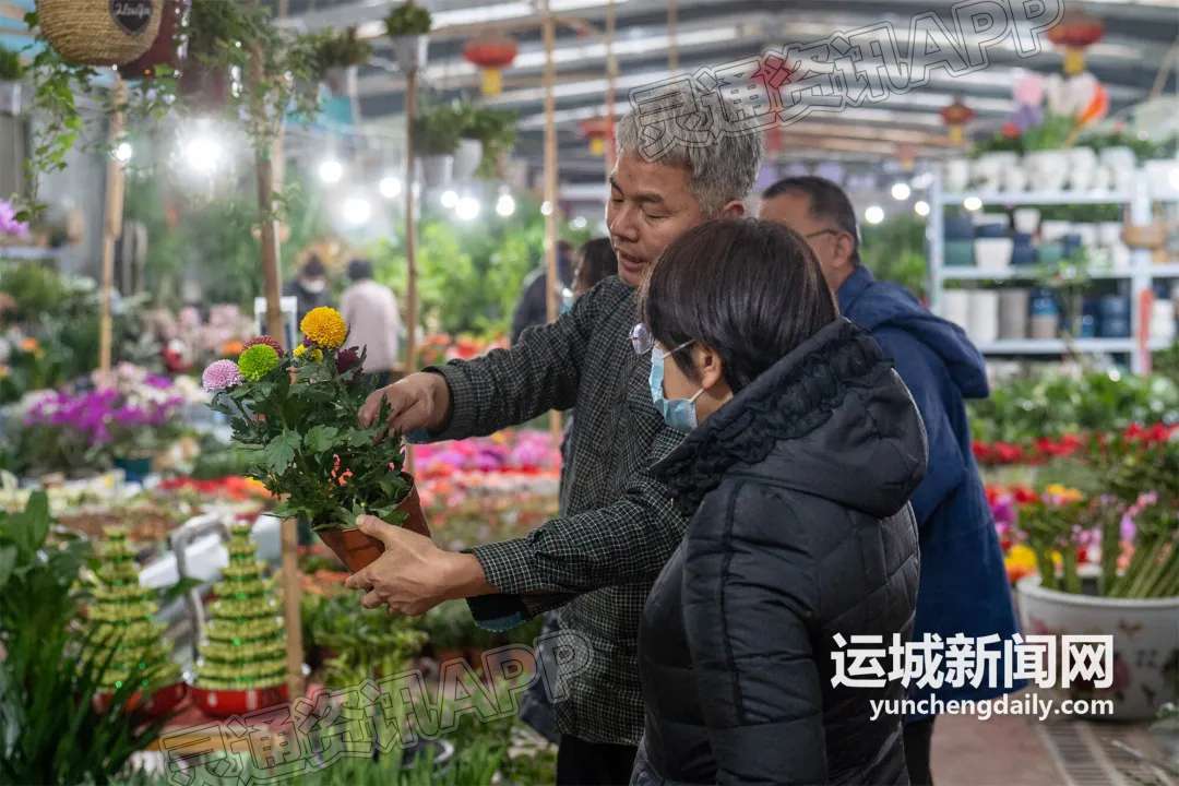 春节将至鲜花俏销　花卉市场“春意浓”：米乐m6官网登录入口(图8)