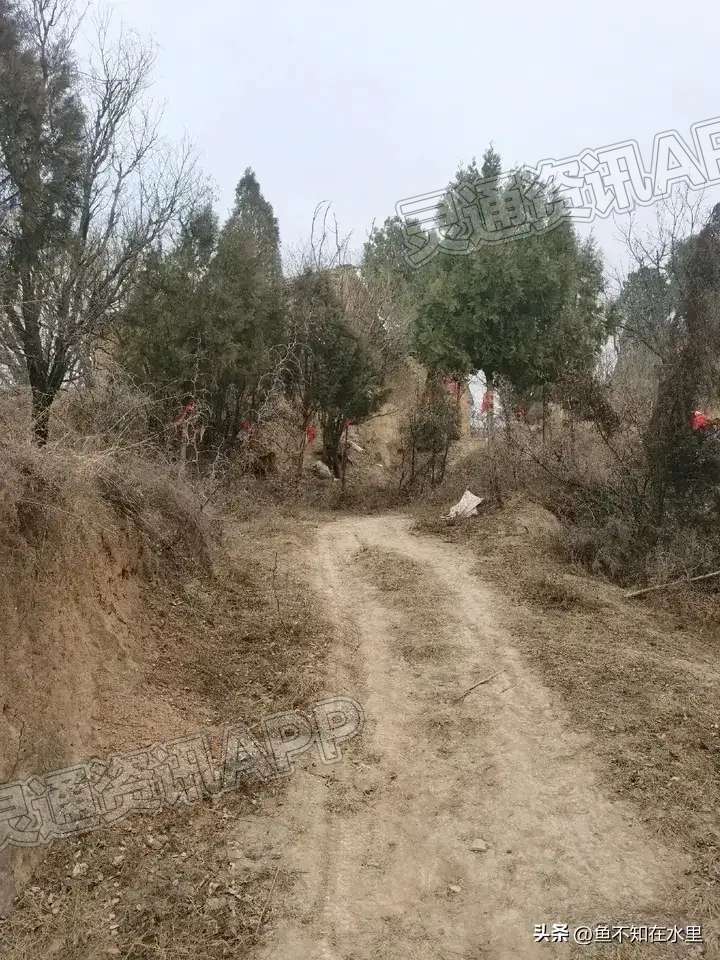 雷火电竞首页-永济祁家村华佗庙(图2)