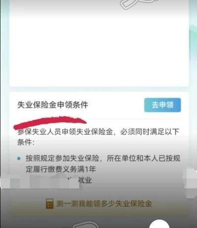 im电竞|失业保险怎么领？网上办，超便捷！(图8)