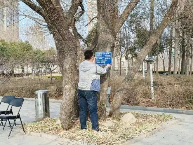 运城市园林绿化服务中心对7棵古树名木进行挂牌保护【kaiyun官方网站】(图2)