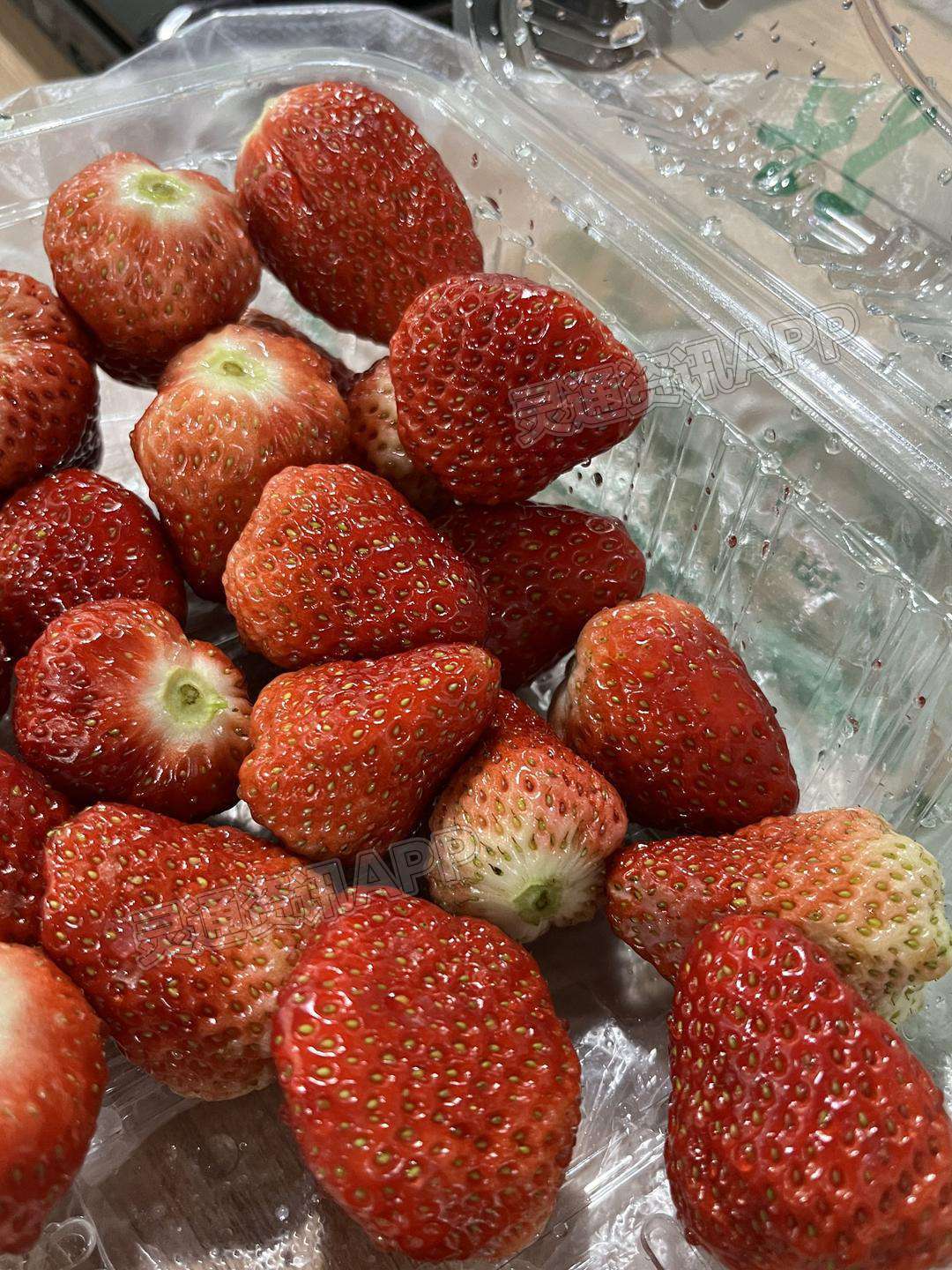 太爱吃草莓了！从年前草莓刚上市就开始买了，到现在估计吃了有1000块钱：澳门永利老网址登录入口(图3)