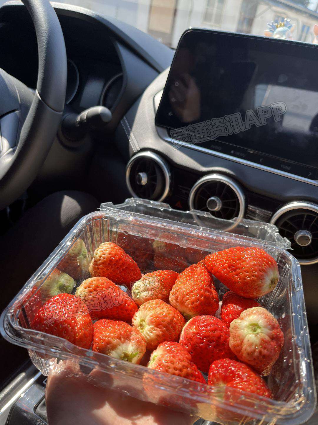 半岛官方下载：太爱吃草莓了！从年前草莓刚上市就开始买了，到现在估计吃了有1000块钱(图1)
