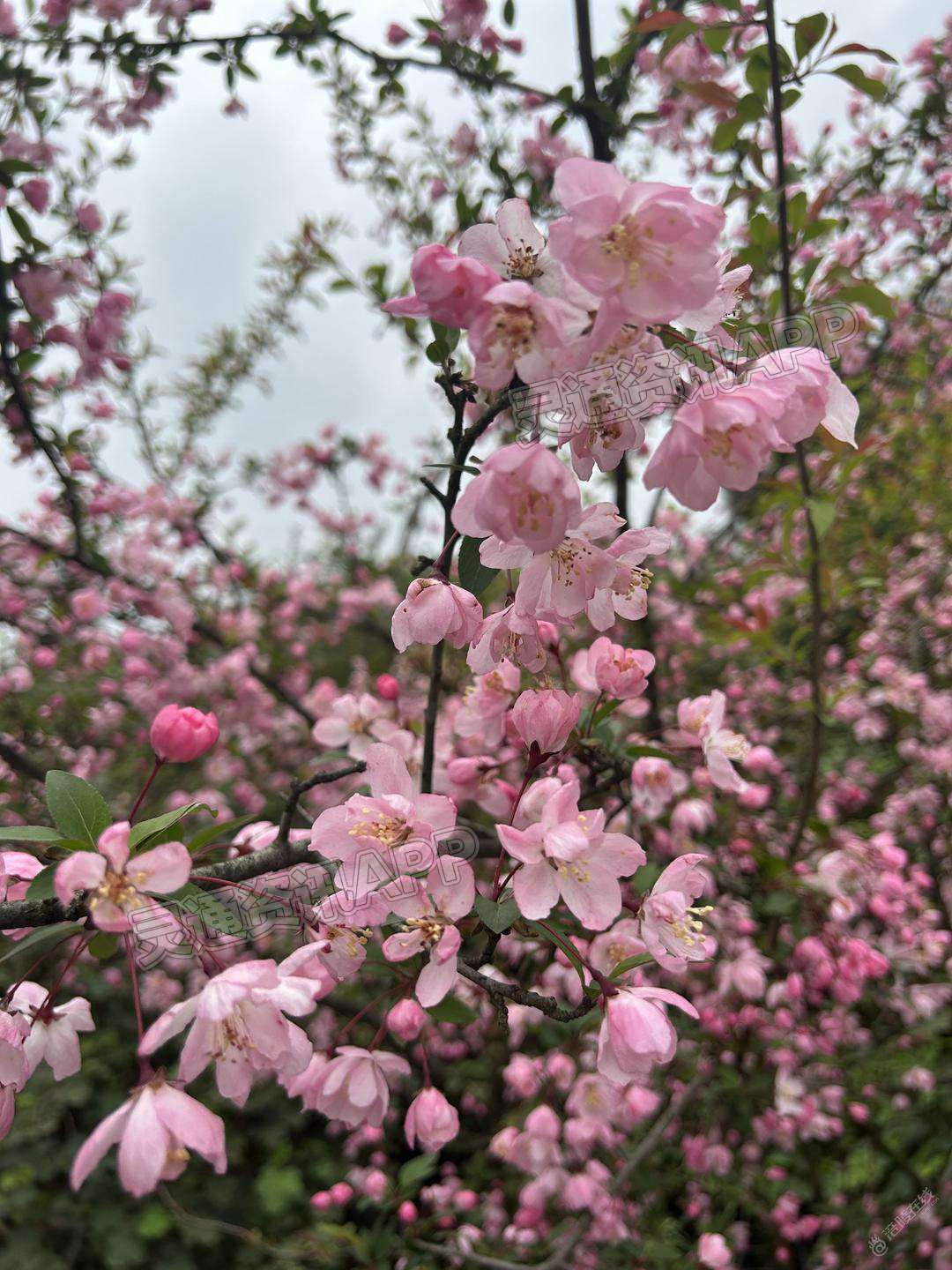 哈哈，拍的不错吧！：雷火电竞官方网站(图2)