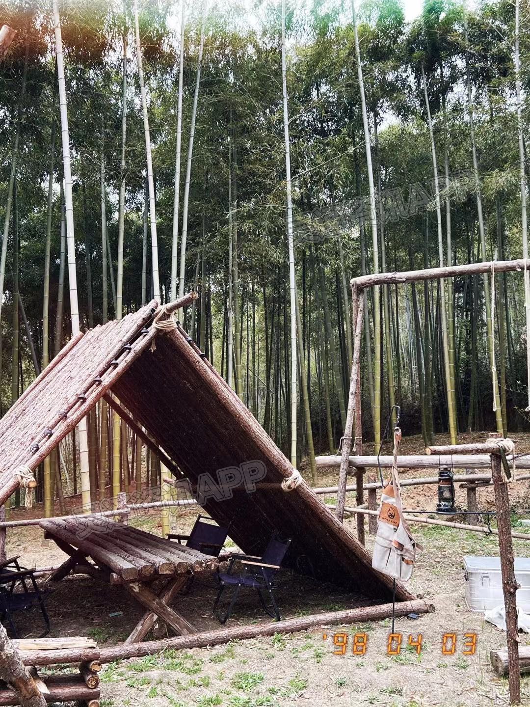 ‘半岛官方下载地址’晒晒我周末的露营生活！(图3)