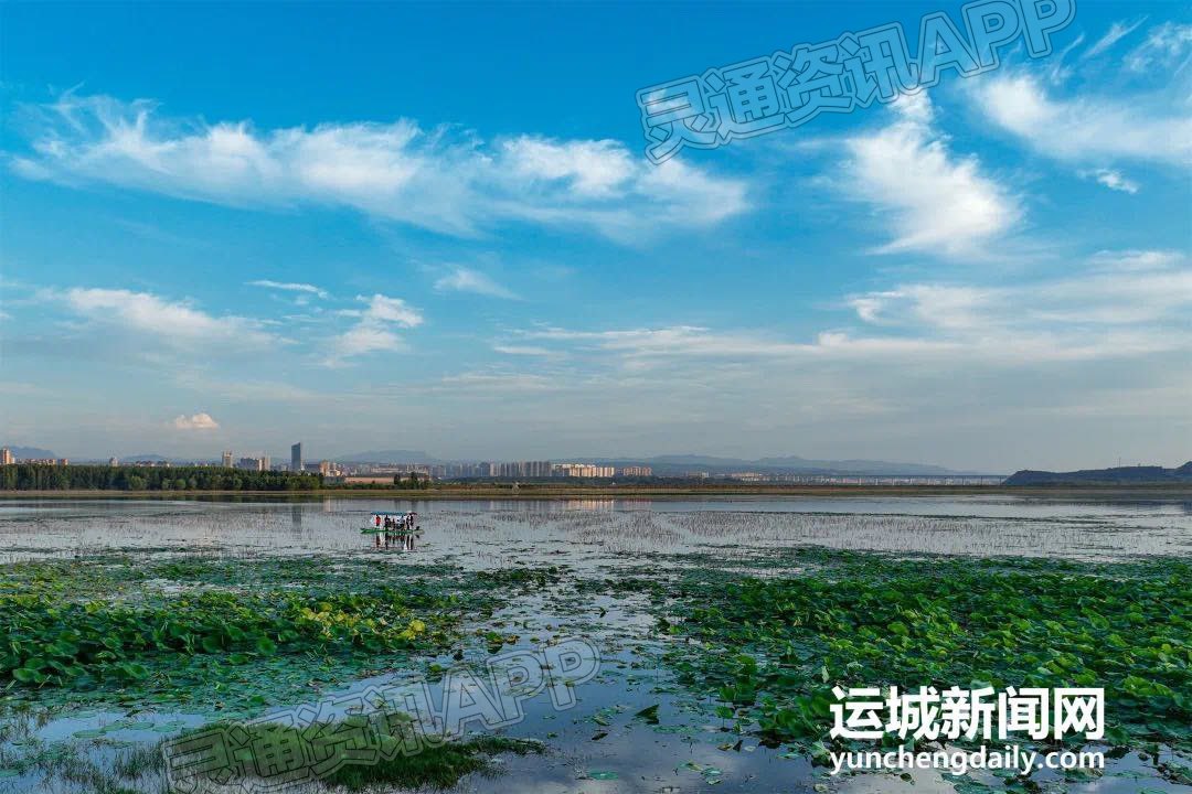 “泛亚电竞官方入口”平陆大天鹅景区：湖光山色生态美(图6)