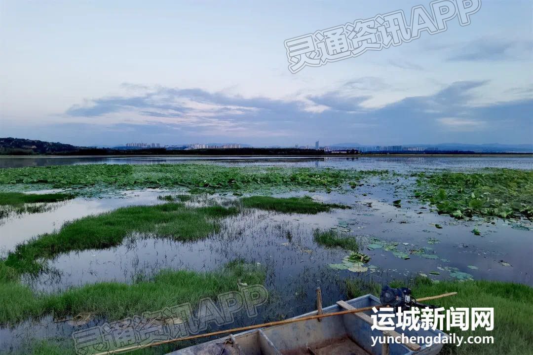 雷火电竞在线登录官网|平陆大天鹅景区：湖光山色生态美(图5)