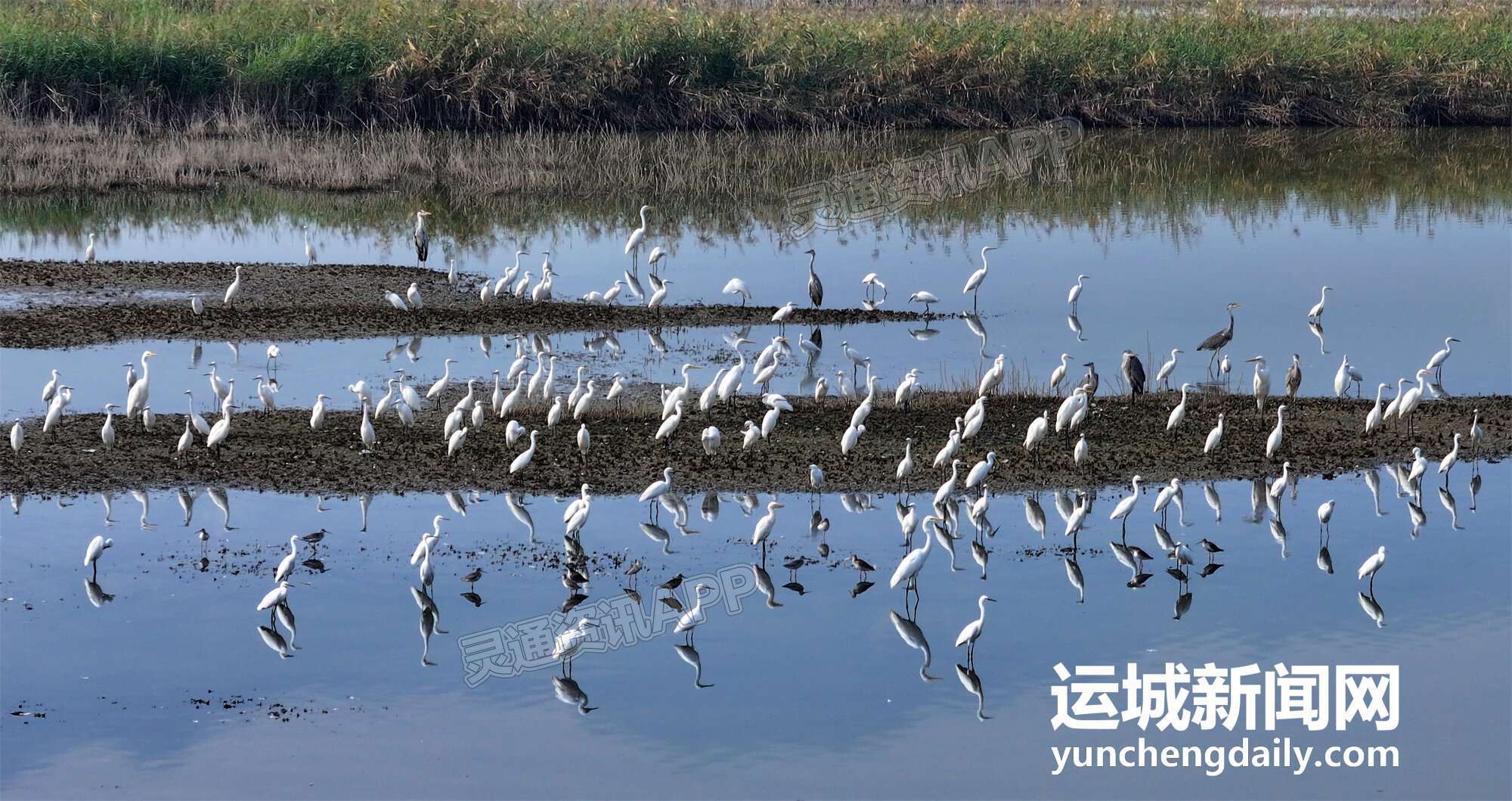 生态伍姓湖“雷火电竞在线登录官网”(图3)