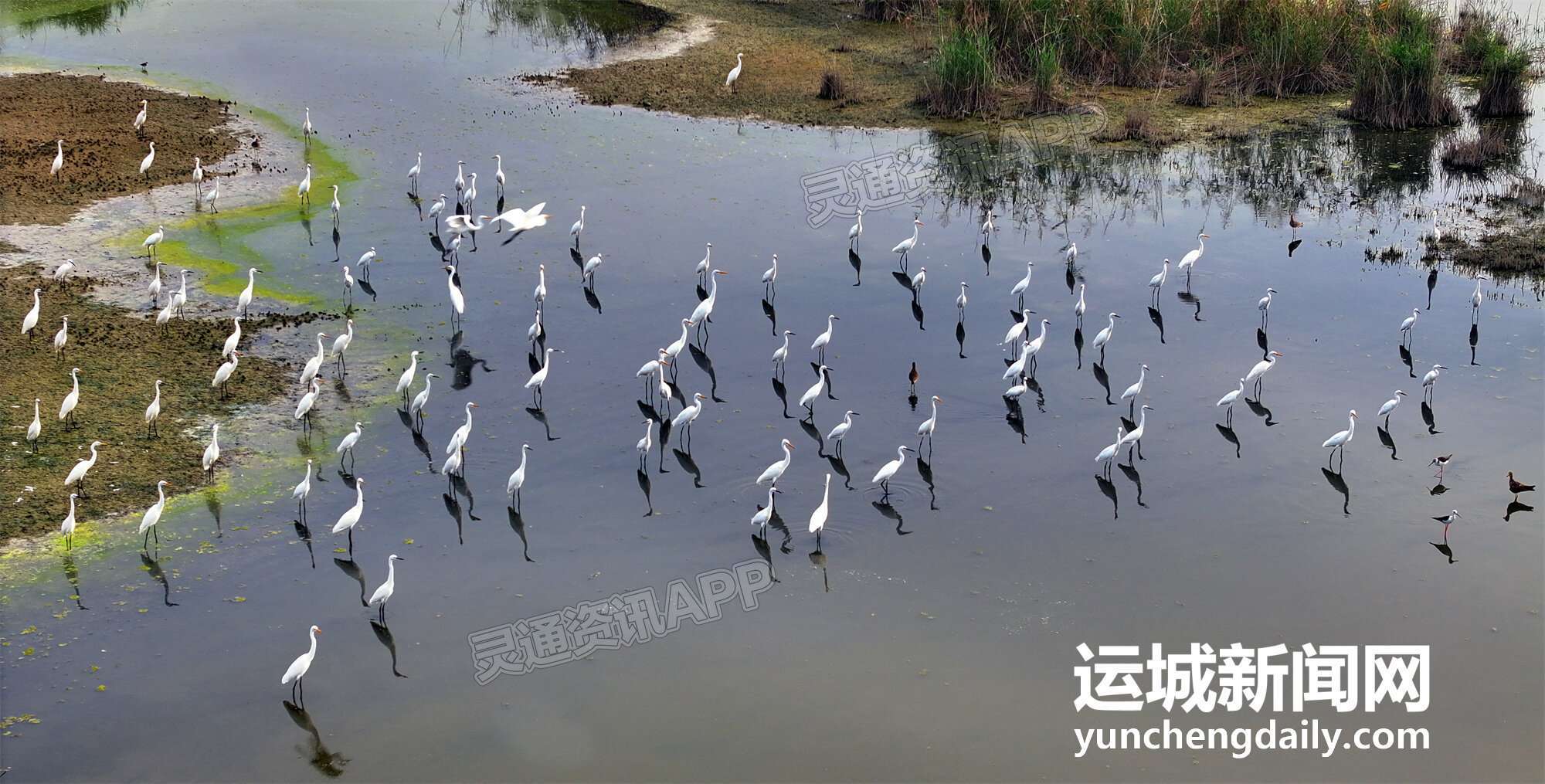 【九游会j9网站首页】生态伍姓湖(图2)