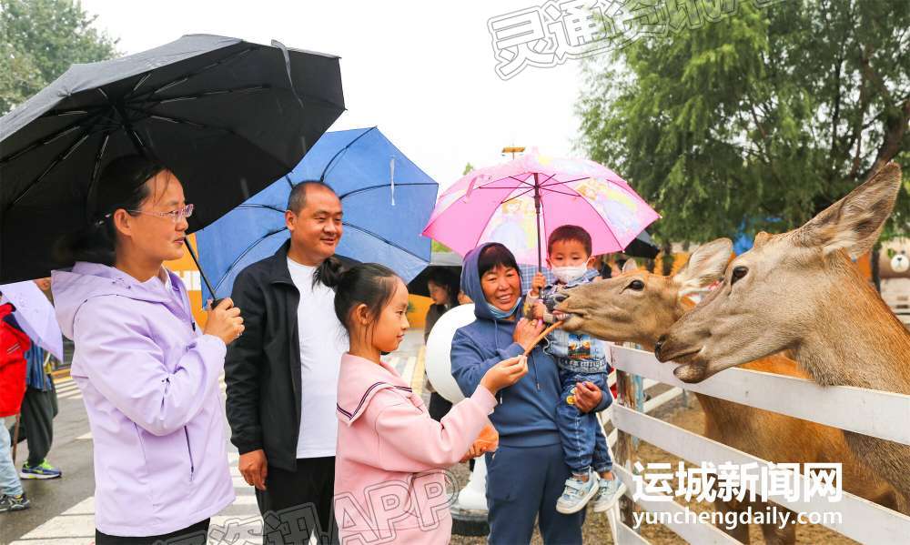 ‘雷火电竞在线登录官网’夏县家门口的动物园！(图4)