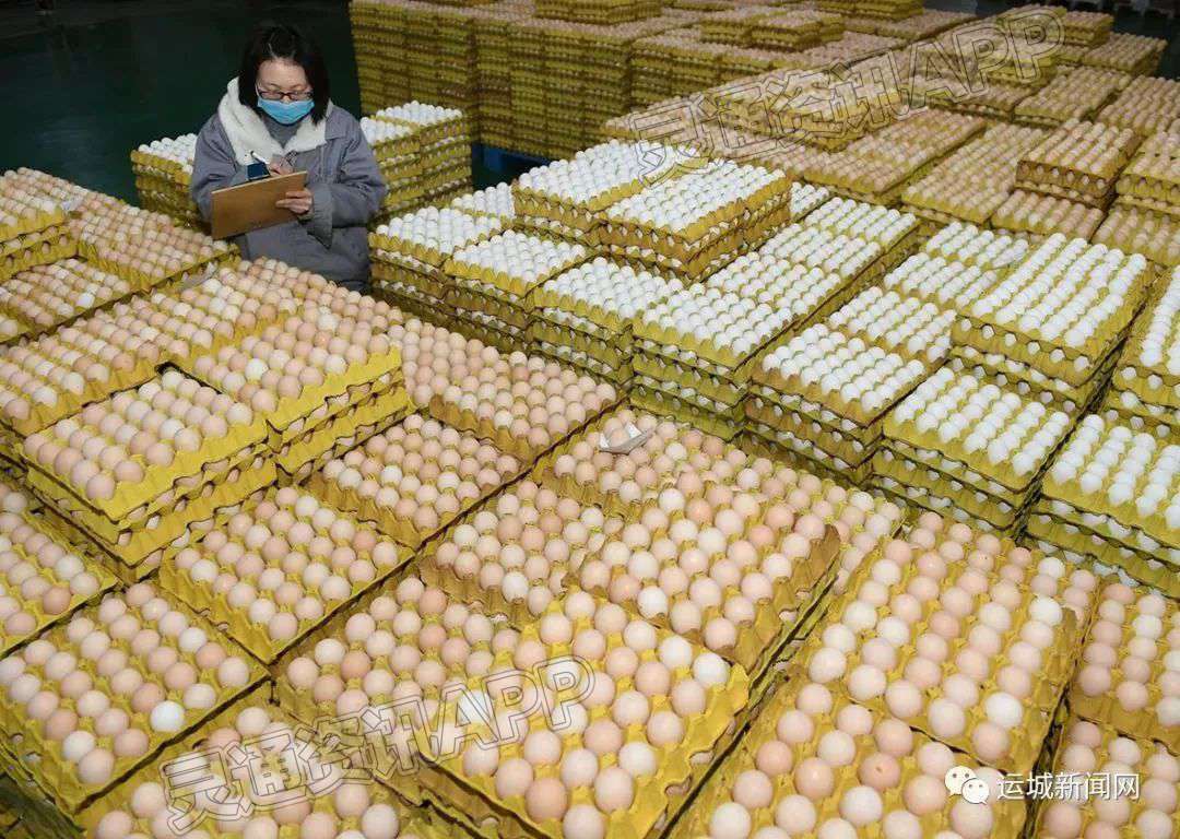 ‘半岛彩票·中国官方网站’“稷山鸡蛋”区域公用品牌正式发布
