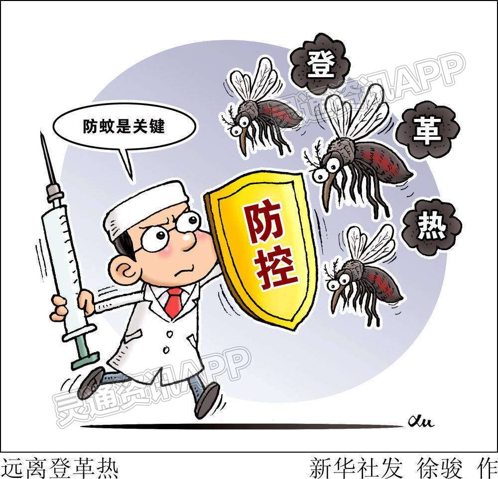 我国部分省份现登革热散发病例专家提示防蚊虫孳生“环球体育HQ官网登录入口”