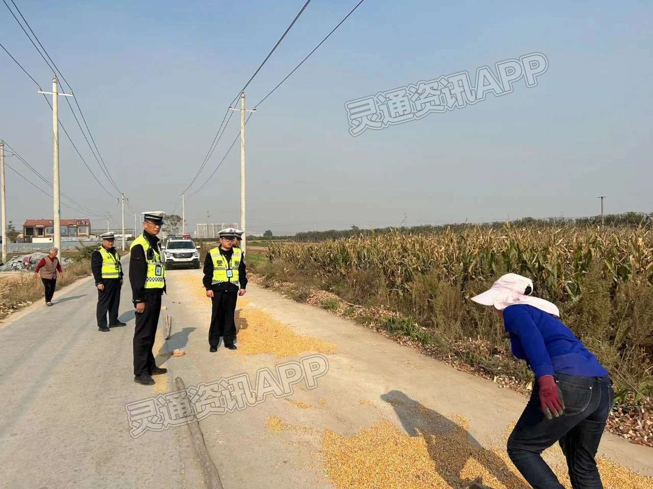 “Kaiyun官方网站”闻喜附近村民晒玉米发生的事！紧急提醒！
