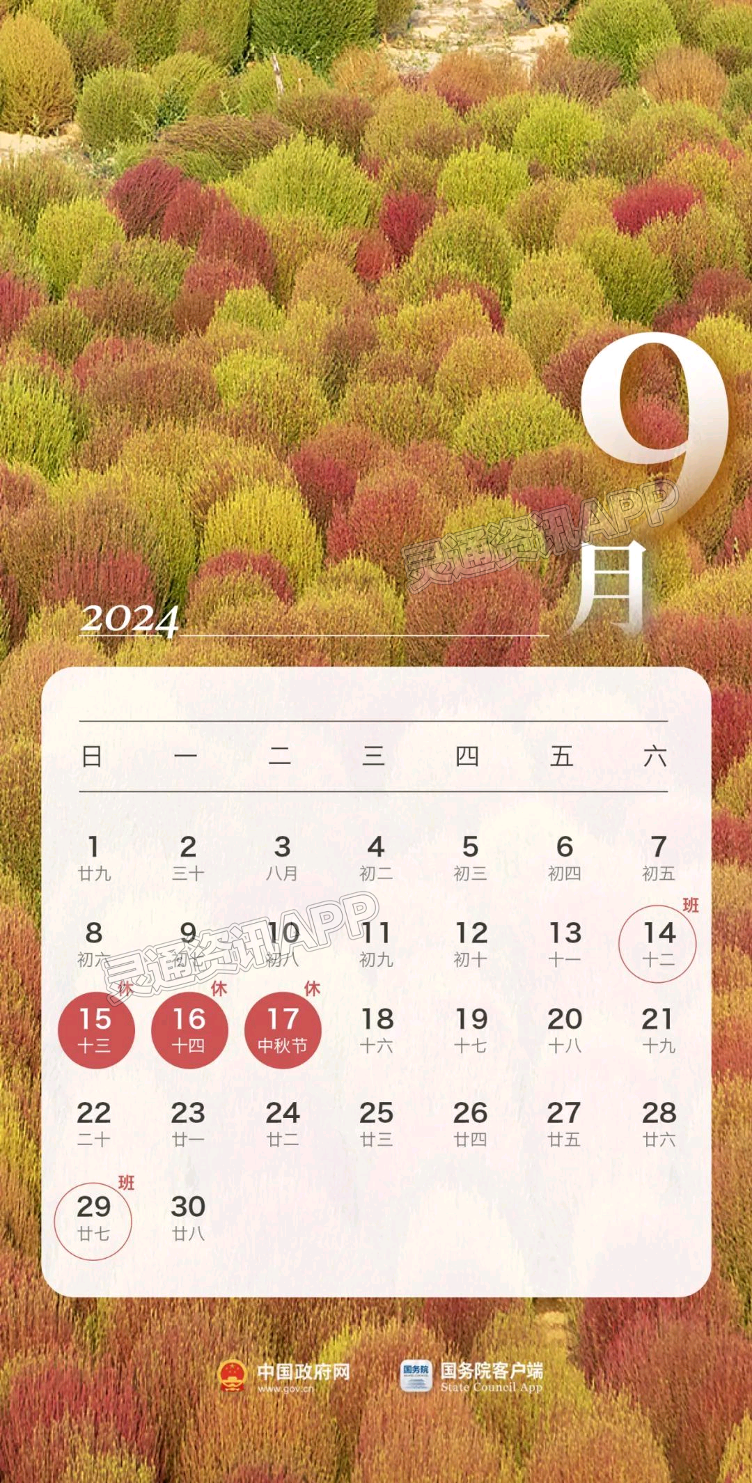 (图9)