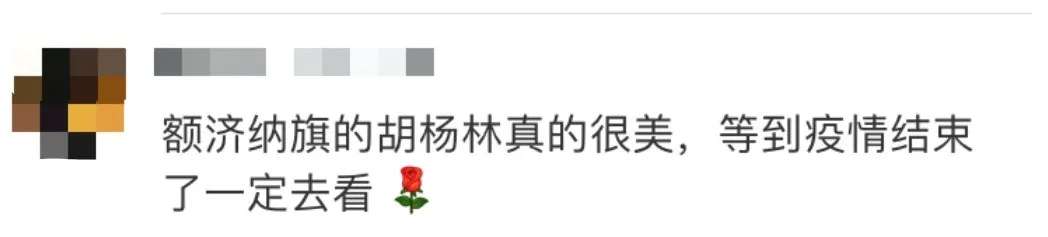 内蒙古额济纳旗这封信火了！网友留言超暖心！_雷火电竞官方网站(图9)