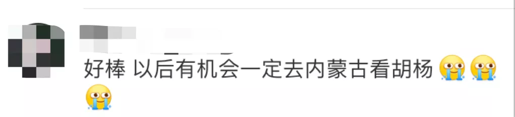 内蒙古额济纳旗这封信火了！网友留言超暖心！_雷火电竞官方网站(图4)