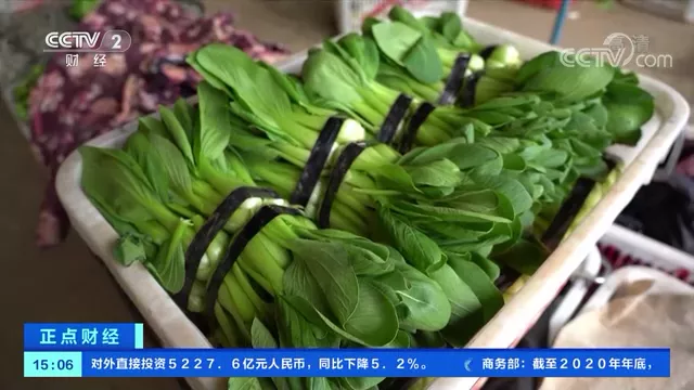 星空体育app官网_全国各地菜价竟然比肉还贵！原因是...(图1)