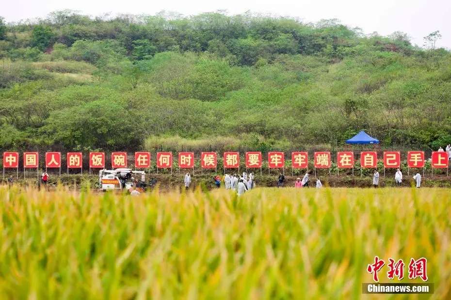 ag九游会：先生走好！袁隆平院士，在长沙安葬(图10)