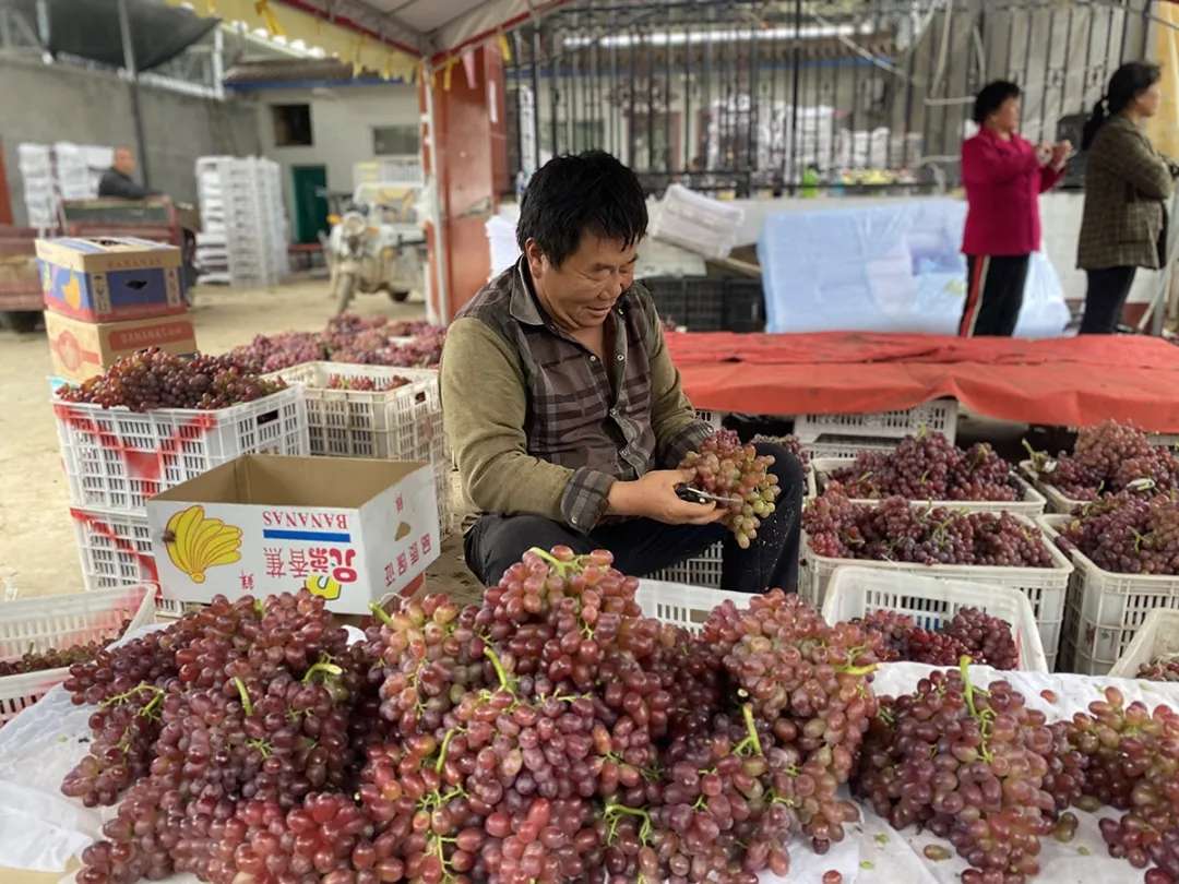 雷火电竞官方网站|卿头镇的农民好样的！