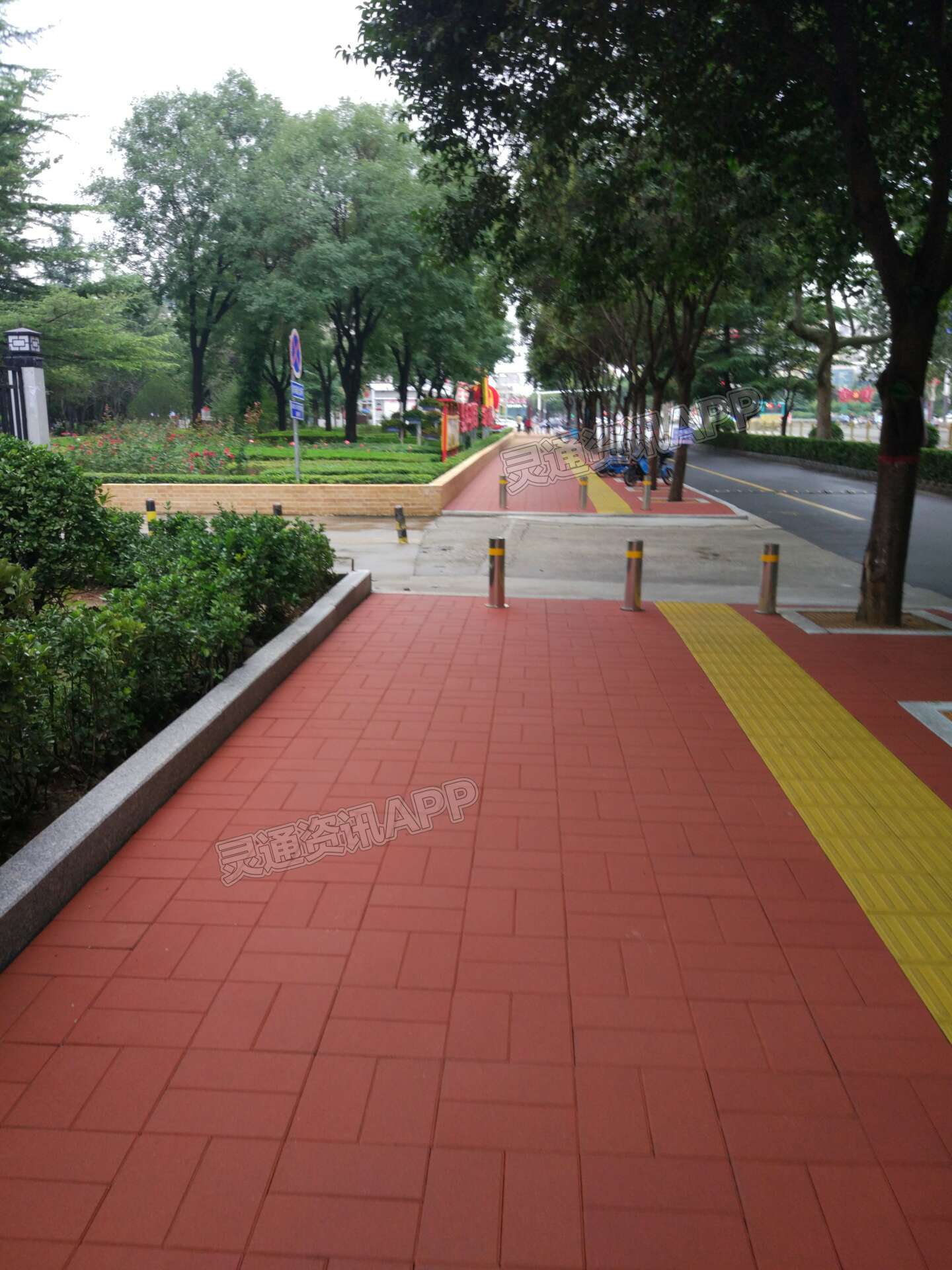 运城市委对面铺上了崭新的红色路面砖|南宫体育app最新官网下载(图1)