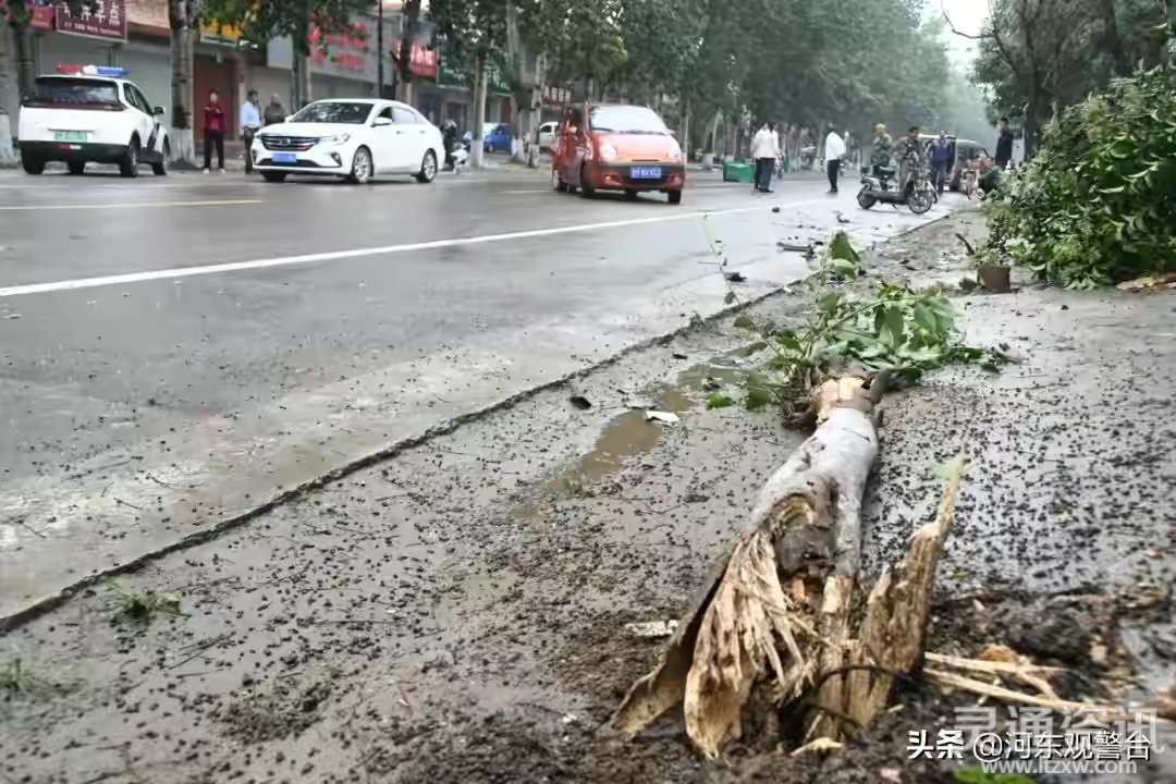 【雷火电竞首页】运城一司机误把油门当刹车，追尾前车酿事故，所幸无人员伤亡(图6)