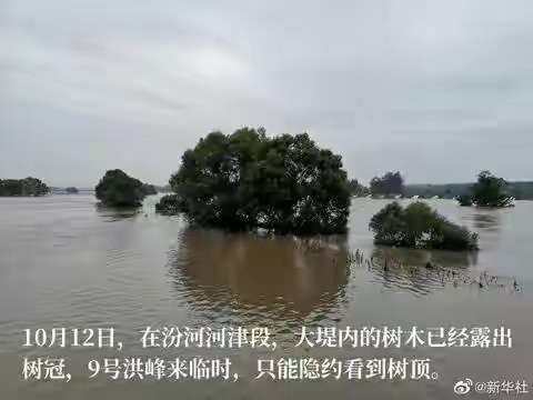 直击现场！汾河下游水位持续下降‘j9九游会官方登录’(图3)