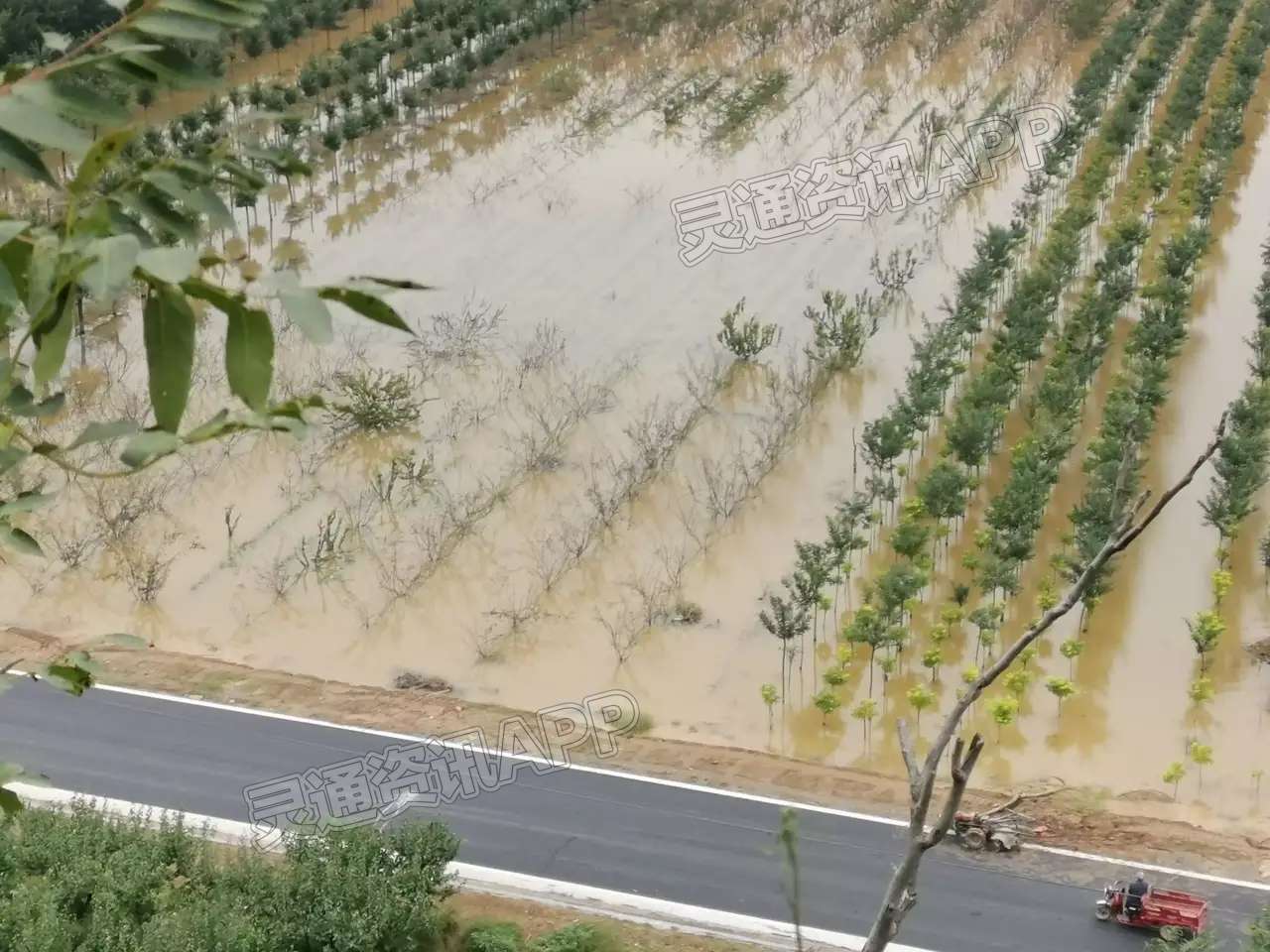 风陵渡黄河滩地部分被淹|pg娱乐电子游戏官网APP下载(图3)