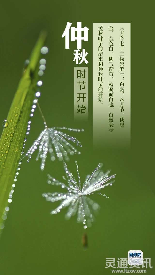 今日白露 ！“露凝而白也”，仲秋时节开始了-雷火电竞首页(图2)