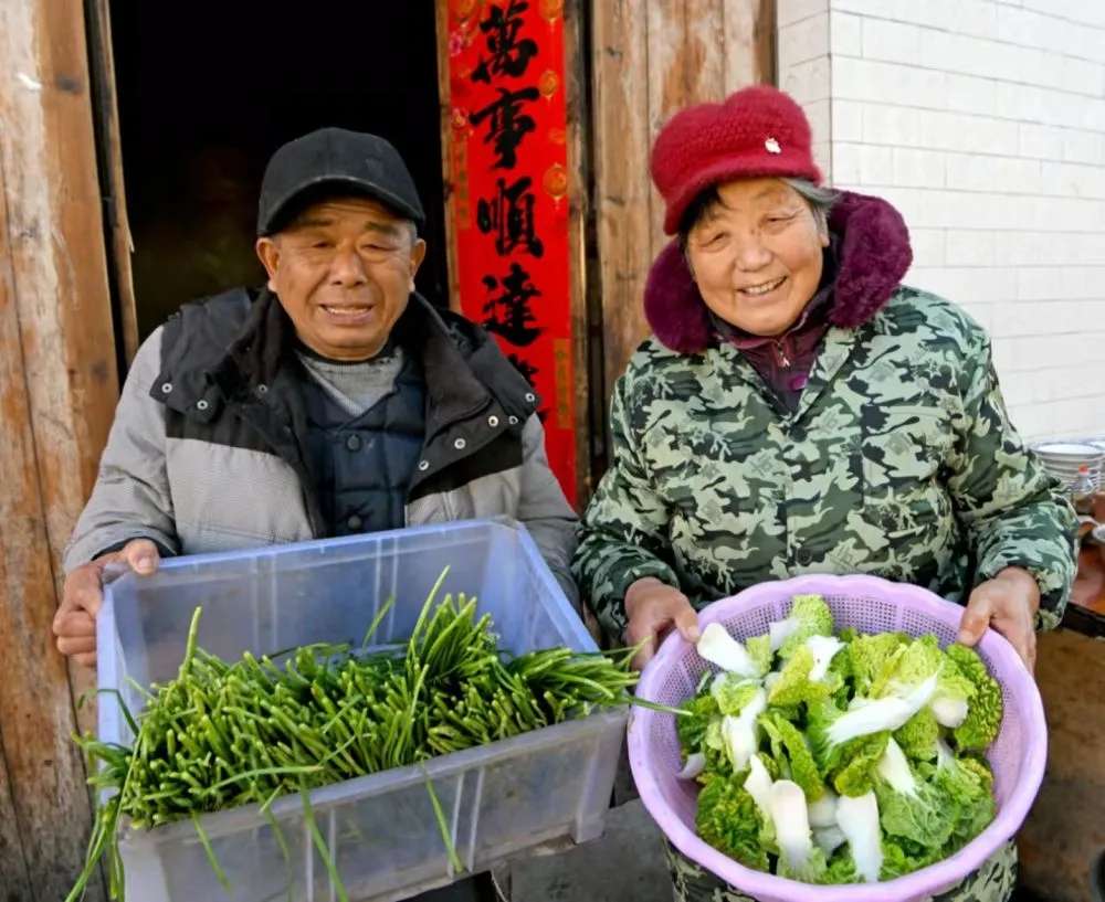 75岁老夫妻卖水饺近16年，价格让人“心疼”……‘im电竞官方网站入口’(图3)