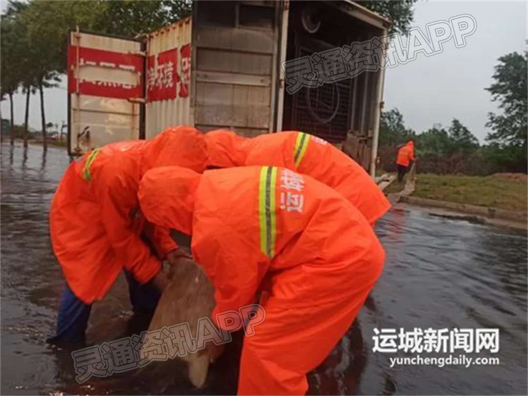 我市修订完善中心城区突发性强降雨排涝应急预案‘im电竞’(图6)