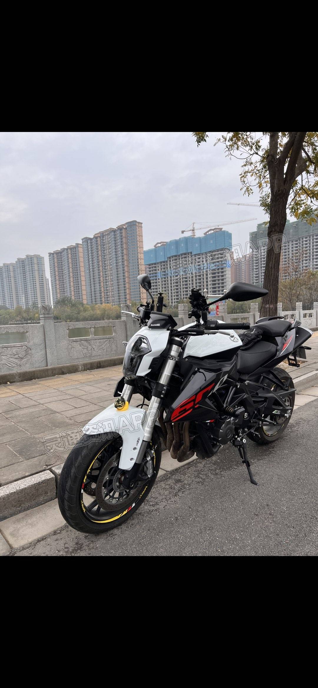 贝纳利黄龙600i - 灵通资讯网