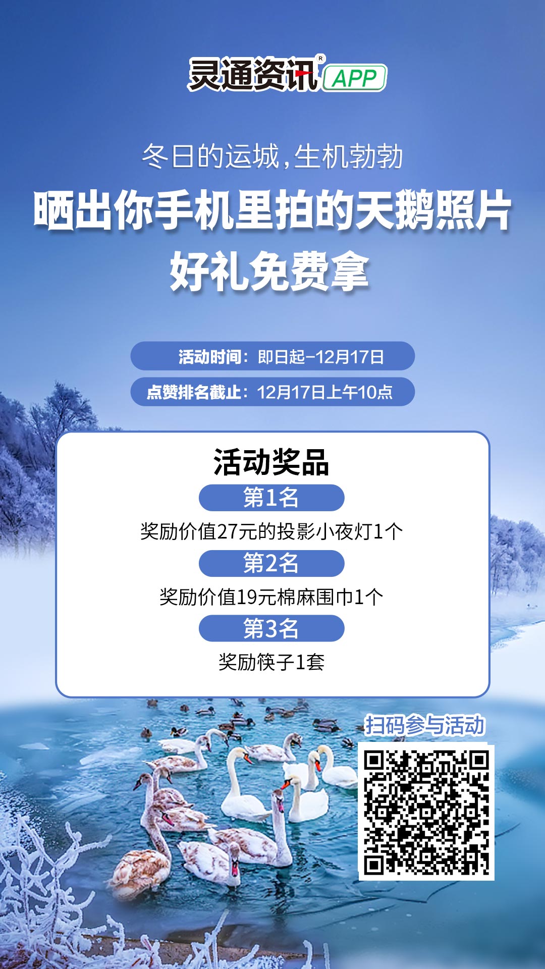 天鹅照片.jpg